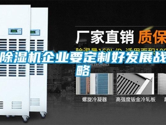 常見(jiàn)問(wèn)題除濕機(jī)企業(yè)要定制好發(fā)展戰(zhàn)略