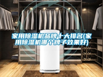 企業新聞家用除濕機品牌十大排名(家用除濕機哪個牌子效果好)