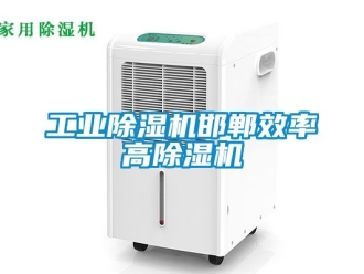 常見問題工業(yè)除濕機邯鄲效率高除濕機