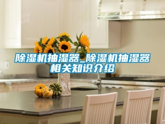 企業新聞除濕機抽濕器_除濕機抽濕器相關知識介紹