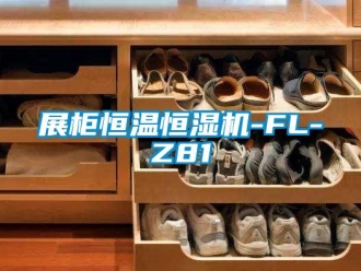 知識百科展柜恒溫恒濕機-FL-Z81
