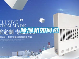 行業新聞除濕機如何選