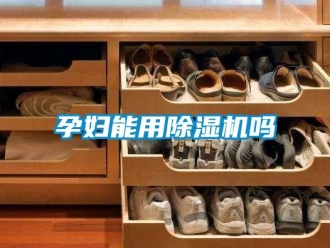 行業(yè)新聞孕婦能用除濕機(jī)嗎