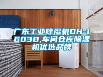 常見問題廣東工業除濕機DH-1603B,車間倉庫除濕機優選品牌