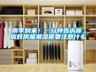 知識百科雨季到來！一分鐘告訴你，應對房屋潮濕需要注意什么！