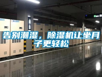 企業新聞告別潮濕，除濕機讓坐月子更輕松