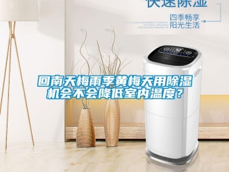 行業新聞回南天梅雨季黃梅天用除濕機會不會降低室內溫度？