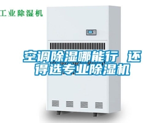 行業(yè)新聞空調(diào)除濕哪能行 還得選專業(yè)除濕機