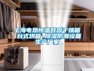 知識百科上海電熱恒溫鼓風干燥箱 臺式烘箱 除濕防潮設備生產廠家