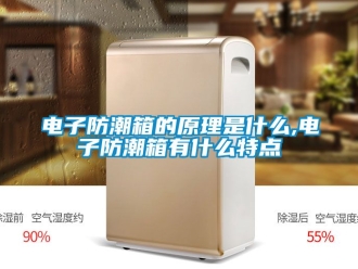 常見問題電子防潮箱的原理是什么,電子防潮箱有什么特點