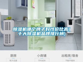 企業(yè)新聞除濕機(jī)哪個(gè)牌子好性價(jià)比高(十大除濕機(jī)品牌排行榜)