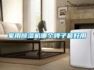 常見(jiàn)問(wèn)題家用除濕機(jī)哪個(gè)牌子最好用