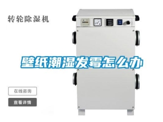 常見問題壁紙潮濕發(fā)霉怎么辦