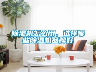 企業(yè)新聞除濕機怎么用，選擇哪些除濕機品牌好