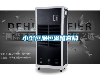 知識(shí)百科小型恒溫恒濕箱直銷