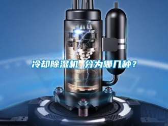 行業新聞冷卻除濕機 分為哪幾種？