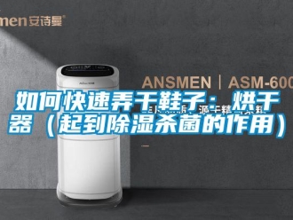 行業新聞如何快速弄干鞋子：烘干器（起到除濕殺菌的作用）