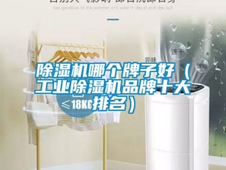 常見問題除濕機哪個牌子好（工業除濕機品牌十大排名）
