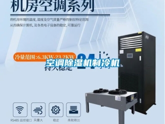 行業(yè)新聞空調(diào)除濕機制冷機