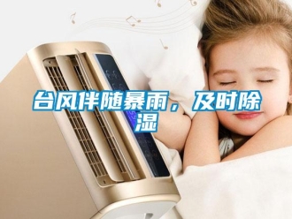 知識百科臺風伴隨暴雨，及時除濕