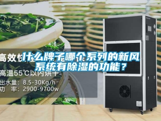 行業(yè)新聞什么牌子哪個系列的新風(fēng)系統(tǒng)有除濕的功能？