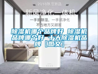 企業(yè)新聞除濕機(jī)哪個品牌好 除濕機(jī)品牌哪個好 十大除濕機(jī)品牌【圖文】