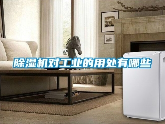 常見問題除濕機對工業的用處有哪些