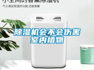 常見問題除濕機會不會傷害室內植物