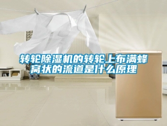 常見問題轉輪除濕機的轉輪上布滿蜂窩狀的流道是什么原理