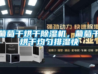 行業新聞葡萄干烘干除濕機，葡萄干烘干均勻排濕快