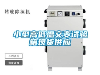 常見問題小型高低溫交變試驗箱現貨供應