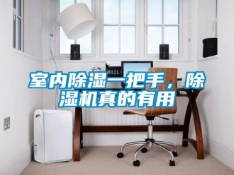 知識百科室內除濕一把手，除濕機真的有用