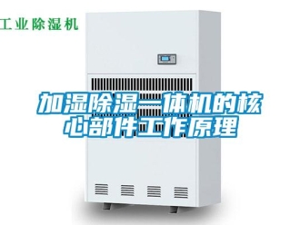 行業(yè)新聞加濕除濕一體機(jī)的核心部件工作原理