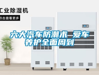 常見問題六大汽車防潮術 愛車養護全面周到