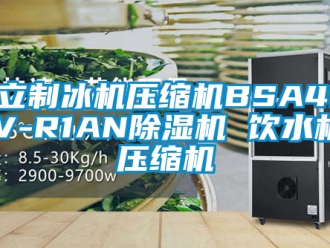 行業新聞海立制冰機壓縮機BSA418CV-R1AN除濕機 飲水機 壓縮機