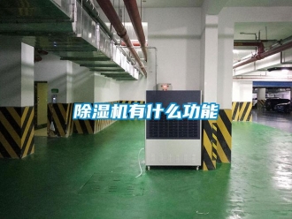 企業新聞除濕機有什么功能