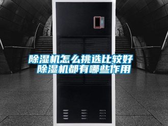 行業新聞除濕機怎么挑選比較好 除濕機都有哪些作用