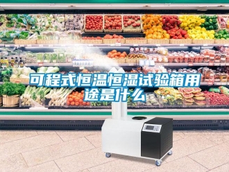 知識百科可程式恒溫恒濕試驗箱用途是什么