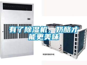 知識百科有了除濕機，奶酪才能更美味