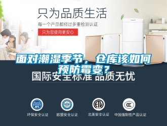 企業新聞面對潮濕季節，倉庫該如何預防霉變？