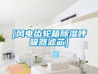 企業(yè)新聞[風(fēng)電齒輪箱除濕呼吸器濾芯]