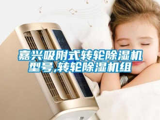 常見問題嘉興吸附式轉(zhuǎn)輪除濕機(jī)型號,轉(zhuǎn)輪除濕機(jī)組