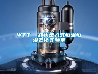 常見問(wèn)題WTT  鄭州步入式恒溫恒濕老化實(shí)驗(yàn)室