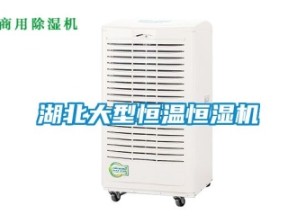 知識百科湖北大型恒溫恒濕機