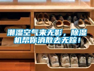 企業(yè)新聞潮濕空氣來無影，除濕機幫你消散去無蹤！