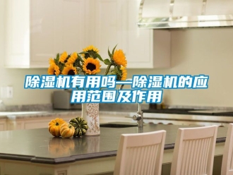行業新聞除濕機有用嗎—除濕機的應用范圍及作用