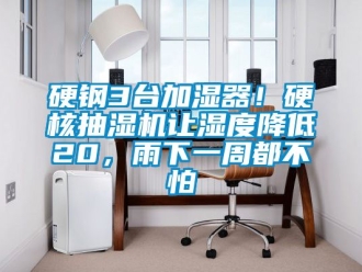 企業(yè)新聞硬鋼3臺加濕器！硬核抽濕機讓濕度降低20，雨下一周都不怕