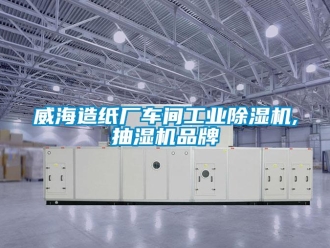 常見問題威海造紙廠車間工業除濕機,抽濕機品牌