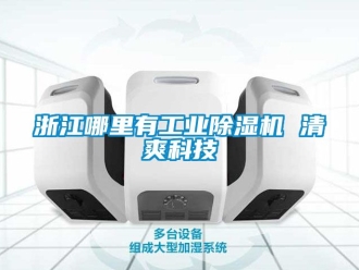 常見問題浙江哪里有工業除濕機 清爽科技