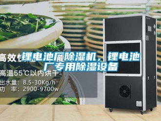 行業(yè)新聞鋰電池廠除濕機(jī)，鋰電池廠專用除濕設(shè)備